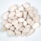 Msi White Polished Pebbles 0.5 cu. Ft . per Bag 0.75 in. to 1.25 in. Bagged Landscape Rock ZOR-LSC-0181 - alternate 5